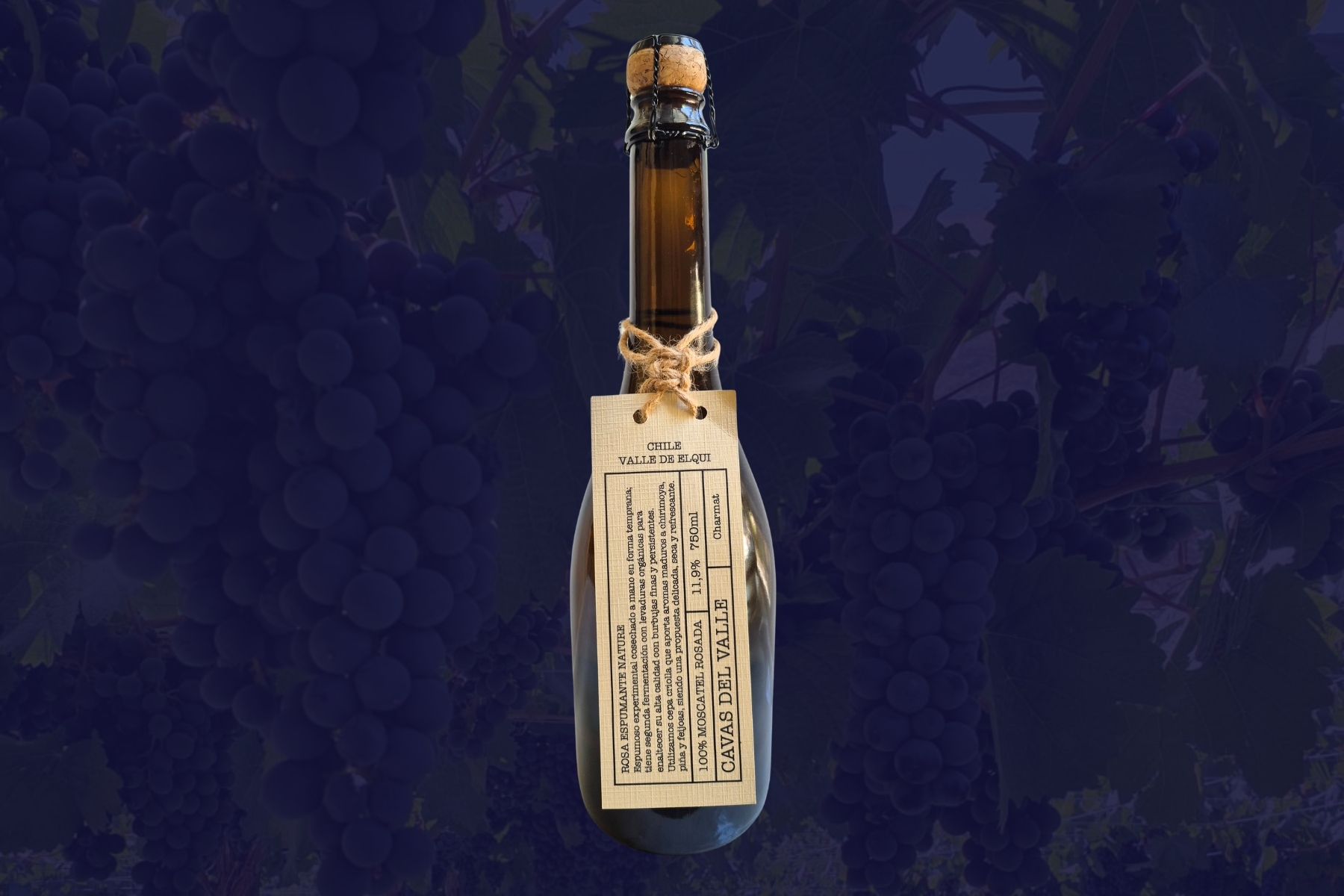 Espumante Experimental Nature - Moscatel Rosada Cavas del Valle