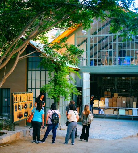 Community activity at Cavas del Valle