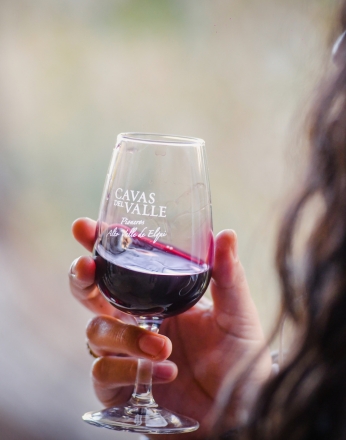 Classic Tour at Cavas del Valle