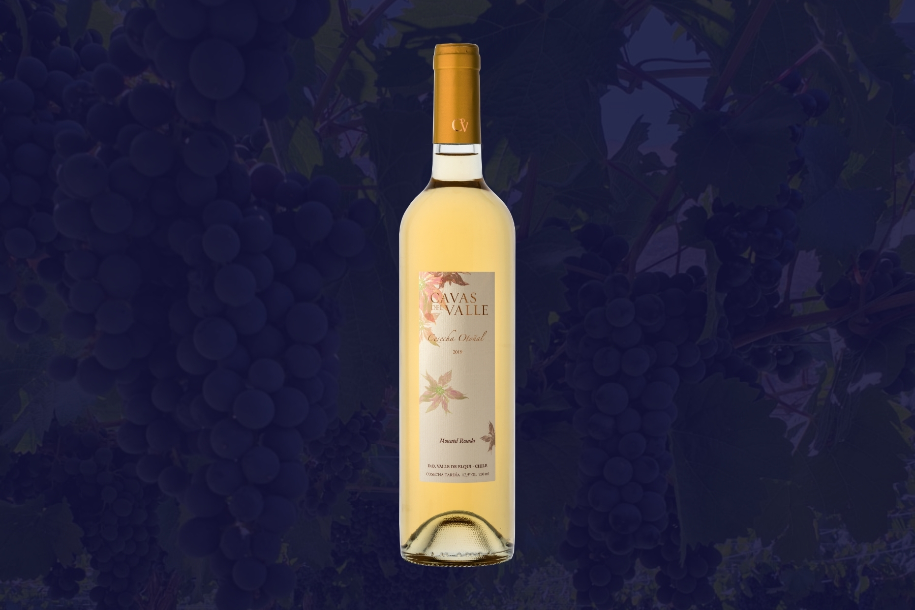 Cosecha Otoñal - Rosé Muscat Late Harvest by Cavas del Valle