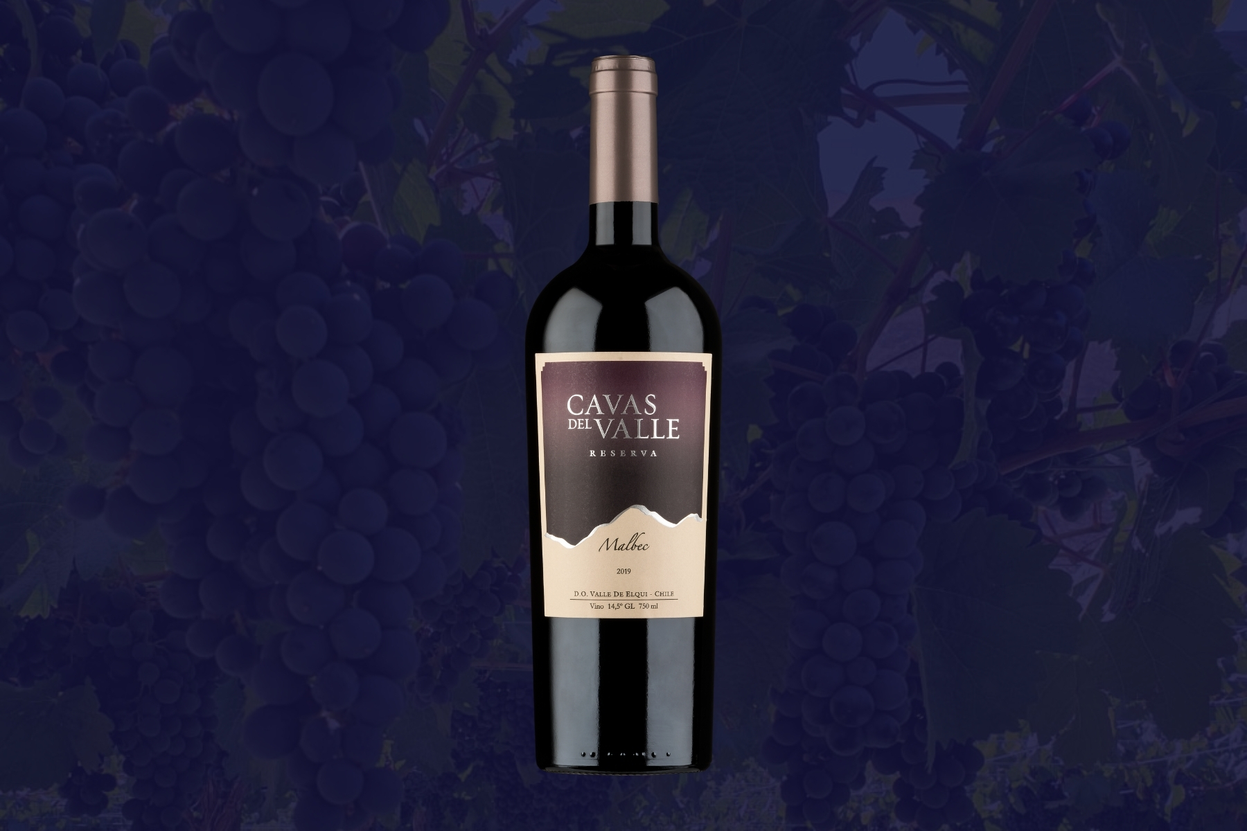 Reserva Malbec - Cavas del Valle