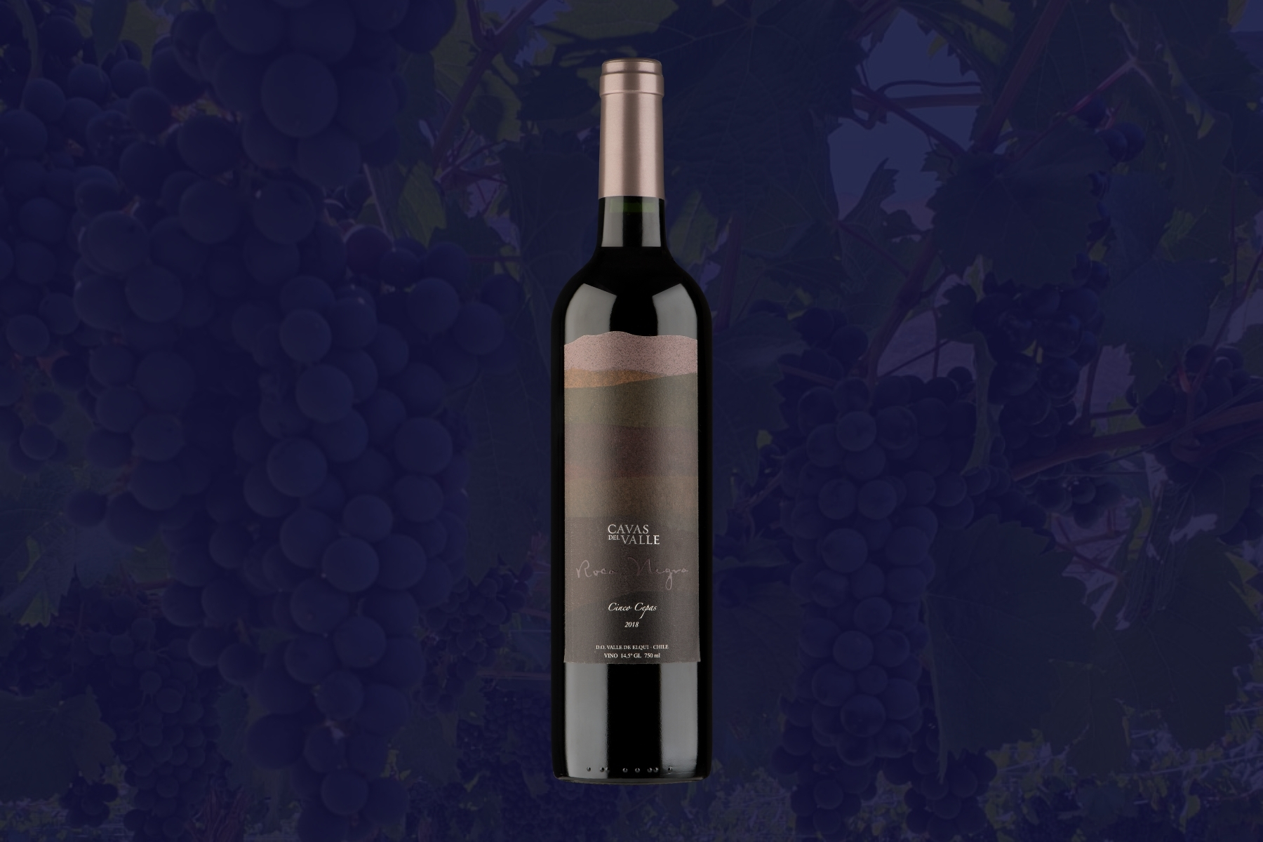 Roca Negra Four Varietals - Cavas del Valle